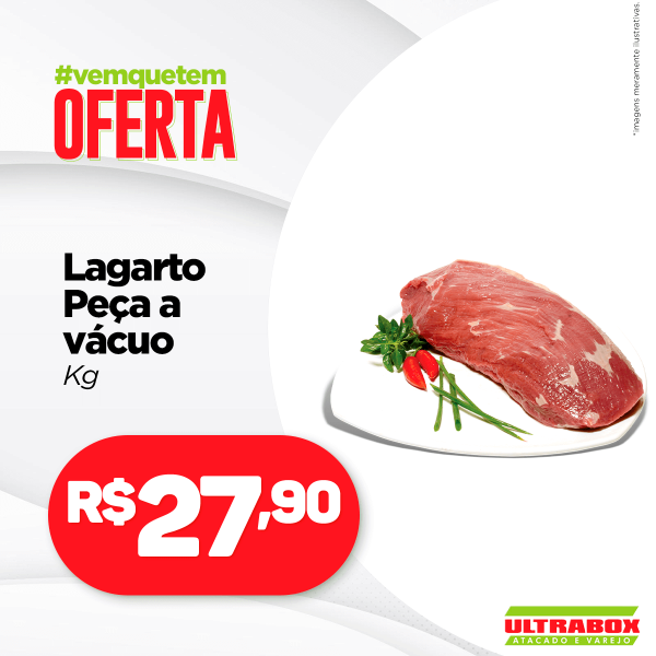 02 feed lagarto 02 feed lagarto